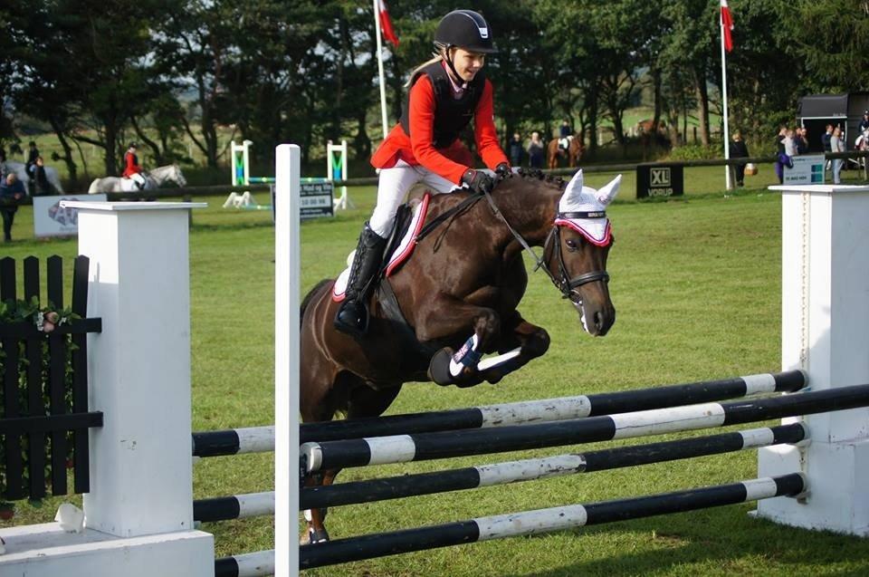 Anden særlig race Ibrahim - Danmarks Cup - LB2**  billede 4