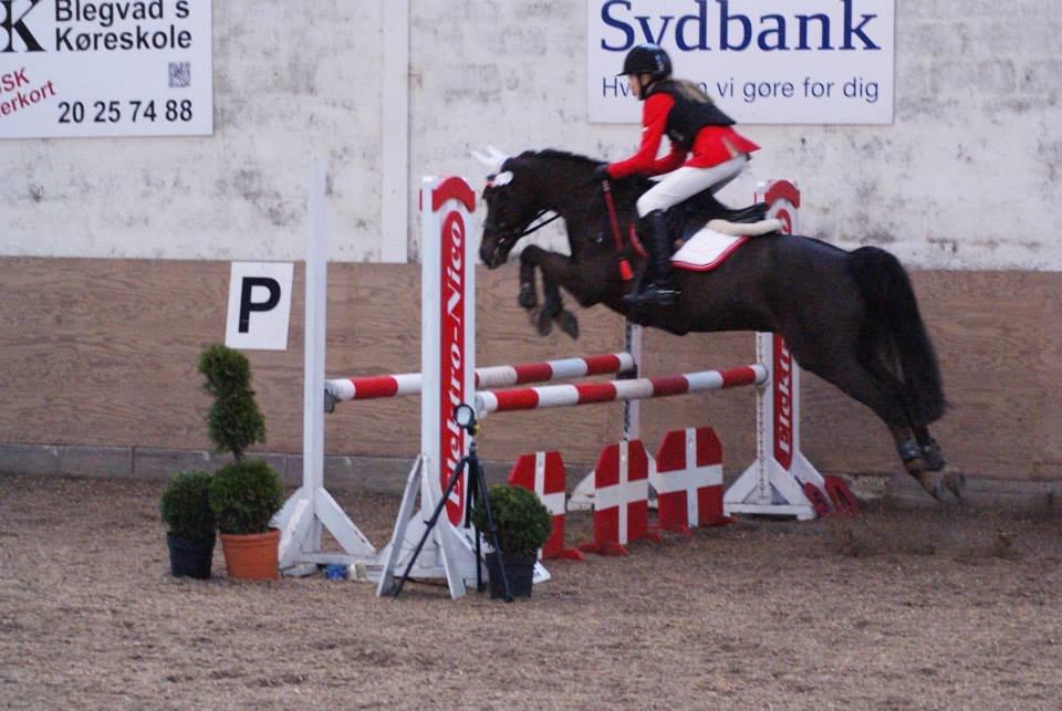 Anden særlig race Ibrahim - LA <3 0 fejl billede 21