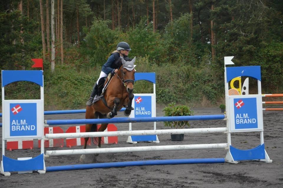 New Forest Skoglys Manifique - Kallehavegård rideklub, knab så godt stævne. billede 2