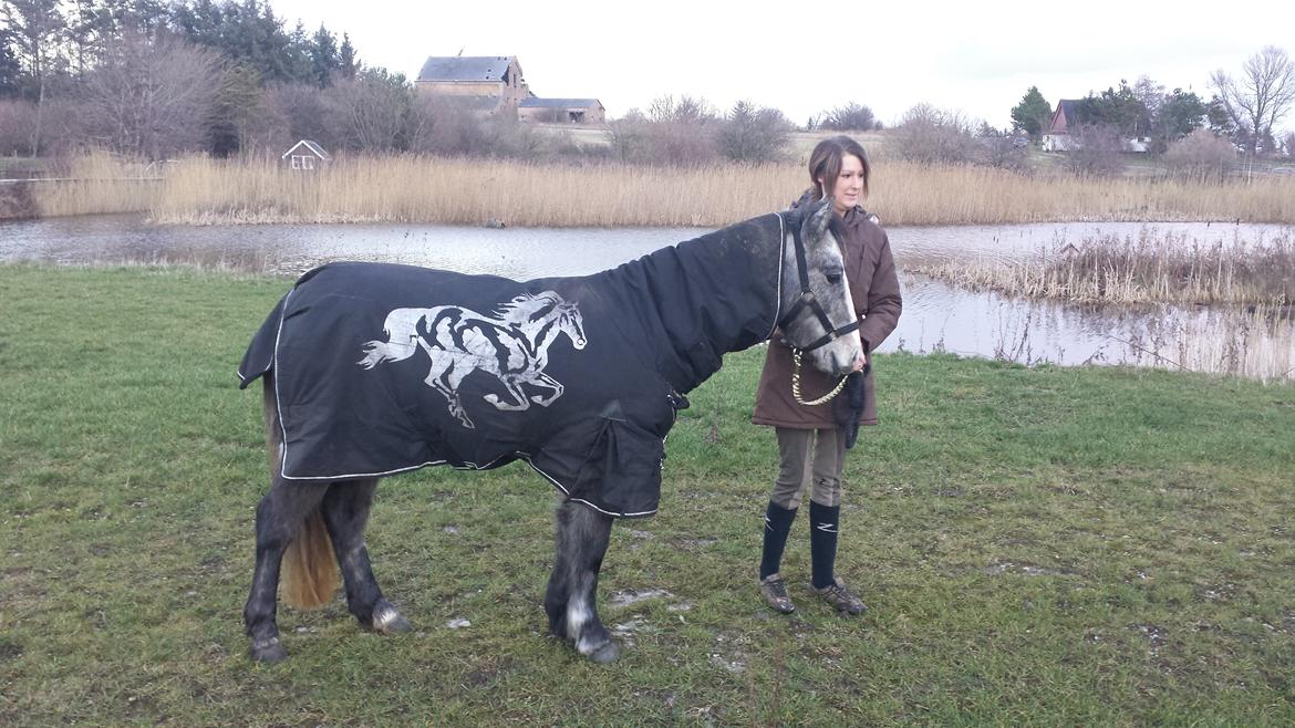 Anden særlig race Kroghsgaards Mira billede 2