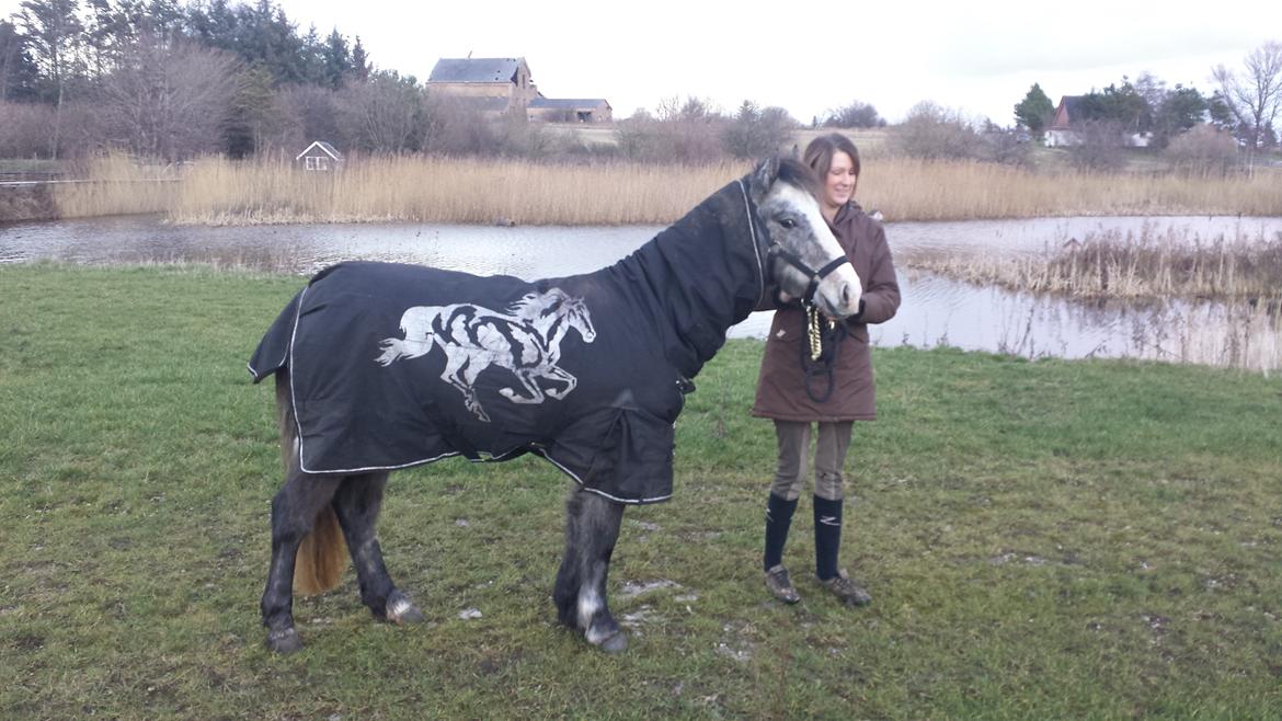 Anden særlig race Kroghsgaards Mira billede 3