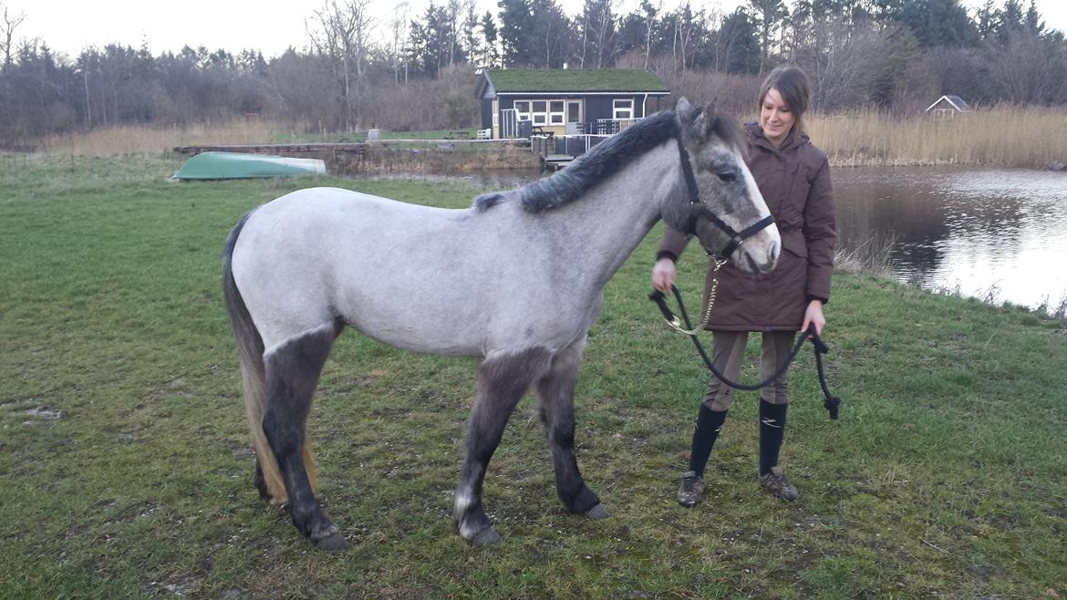 Anden særlig race Kroghsgaards Mira billede 5