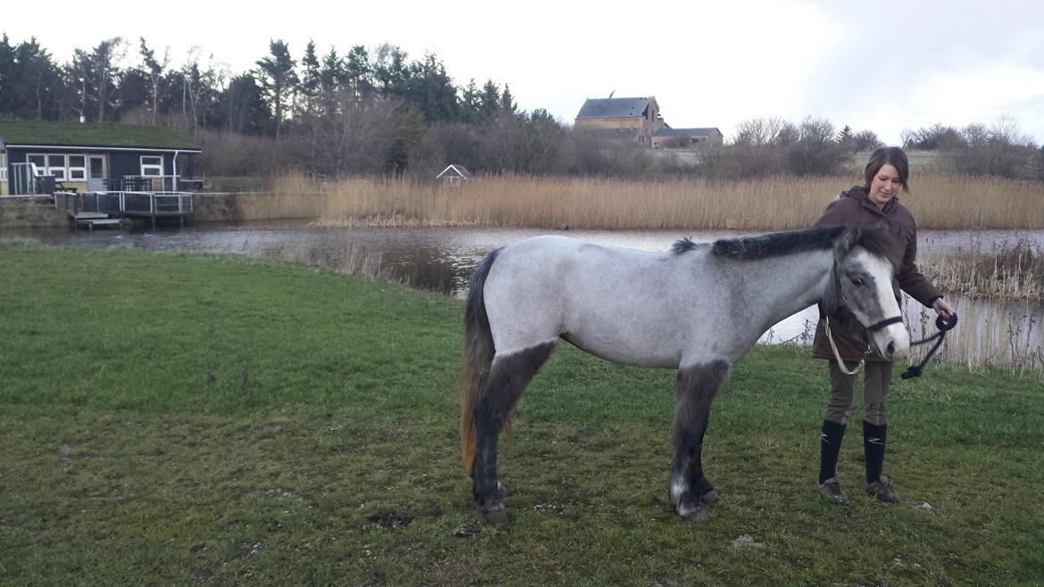 Anden særlig race Kroghsgaards Mira billede 6