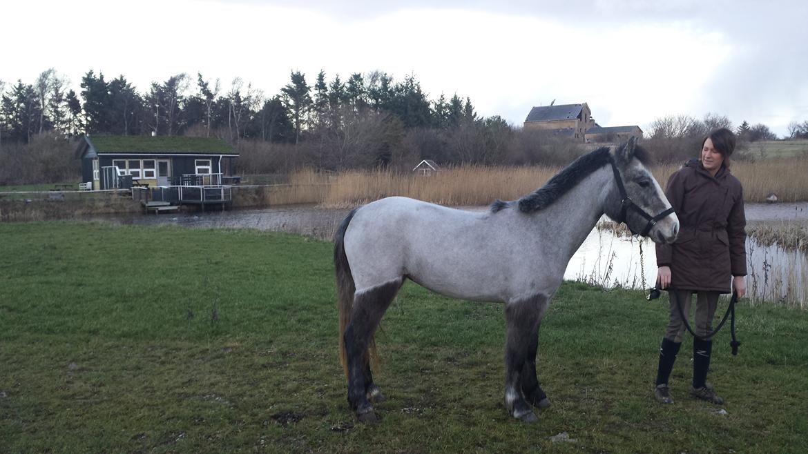 Anden særlig race Kroghsgaards Mira billede 7