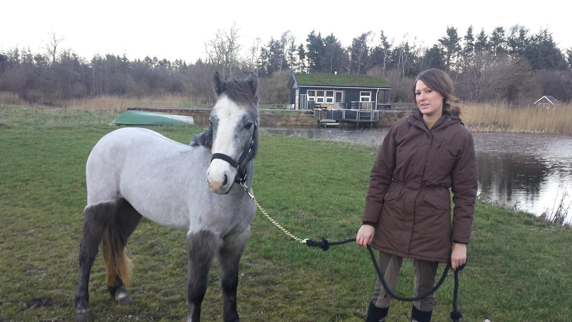 Anden særlig race Kroghsgaards Mira billede 8