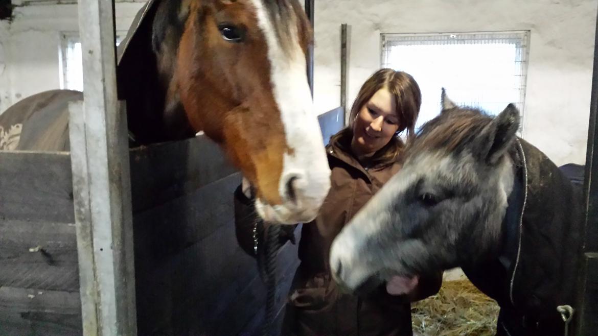 Anden særlig race Kroghsgaards Mira billede 18