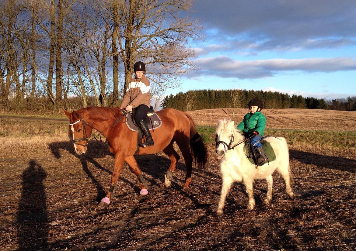 Anden særlig race Dollargirl´s Lucky *R.i.p* - D. 12/1-14 Tobias og Lucky sammen med moster Anita og Perfekte. billede 19