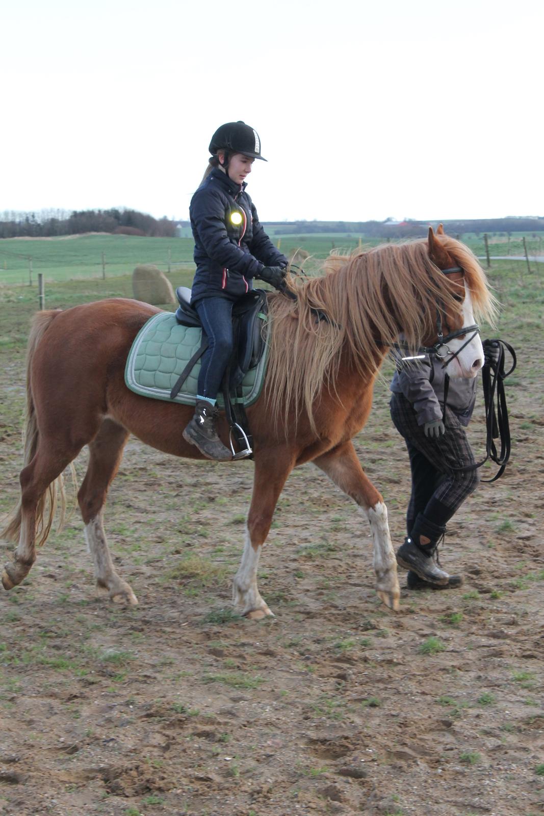 Welsh Partbred (Sec F) Xenobia - Første gang jeg er på ryggen af X billede 2