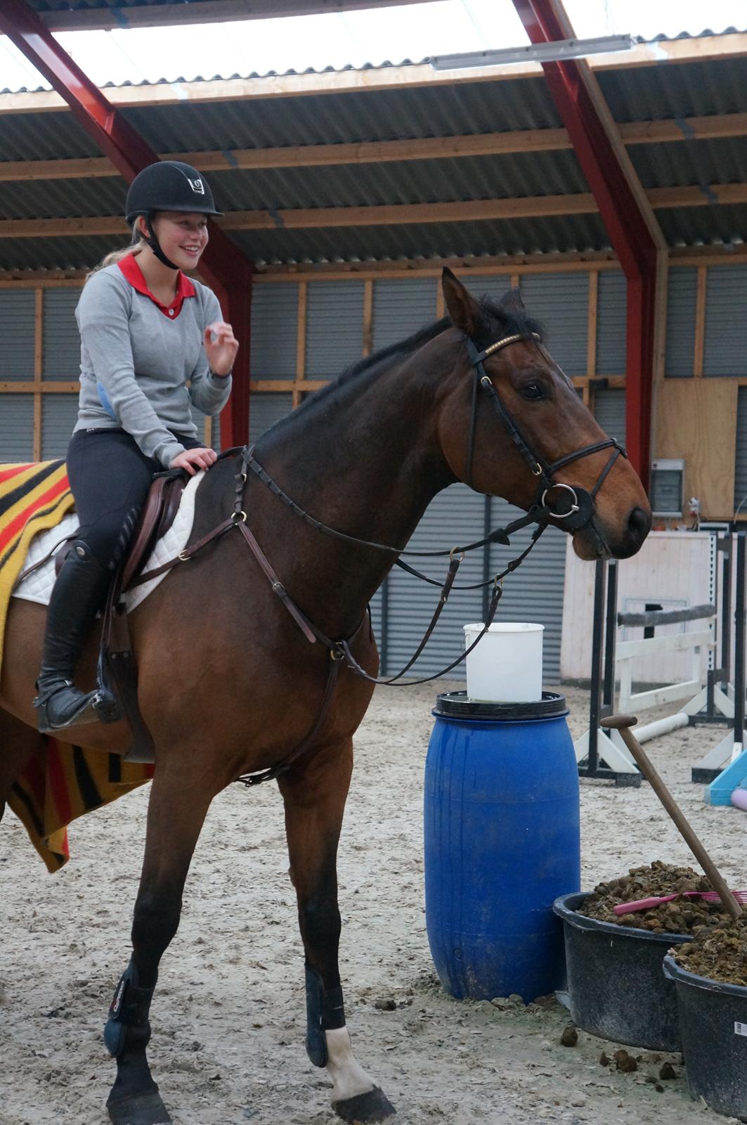 Holstener Quite la bryere - Da jeg prøvede ham:) billede 11