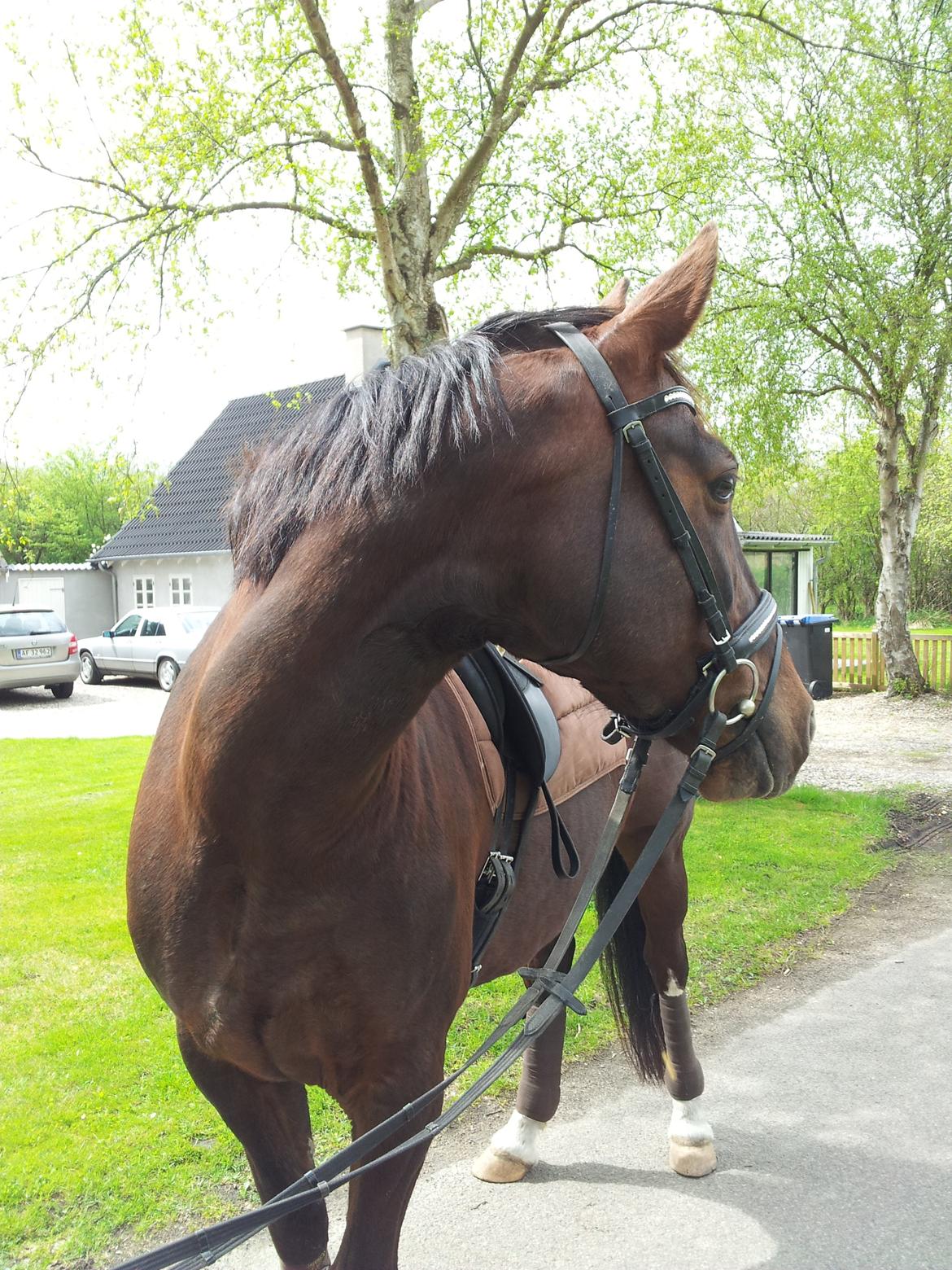 Oldenborg Etasja af Hvarre billede 19