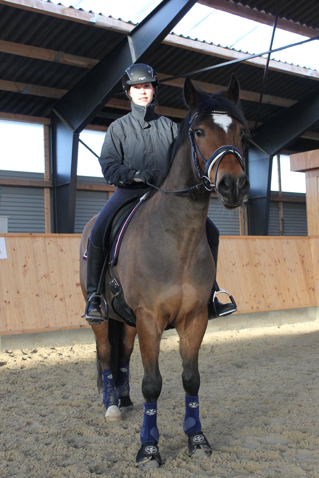 New Forest | Elmholts Scharett billede 11