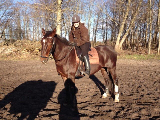 Oldenborg Etasja af Hvarre billede 23