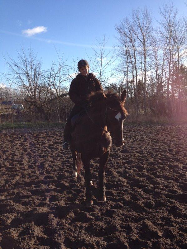 Oldenborg Etasja af Hvarre billede 24