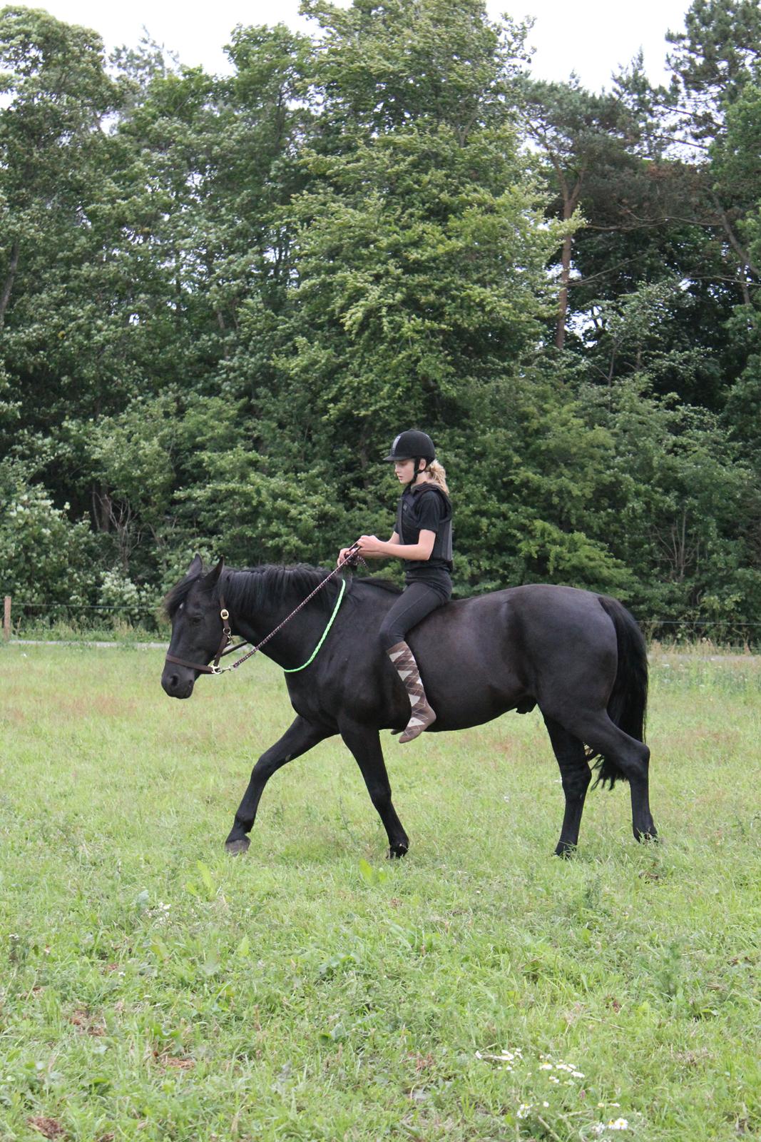 Anden særlig race MartiniQue, ^^min savnede hest - sweet as sugar <3 billede 44