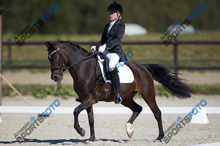 New Forest Stougårds Ofelia billede 4