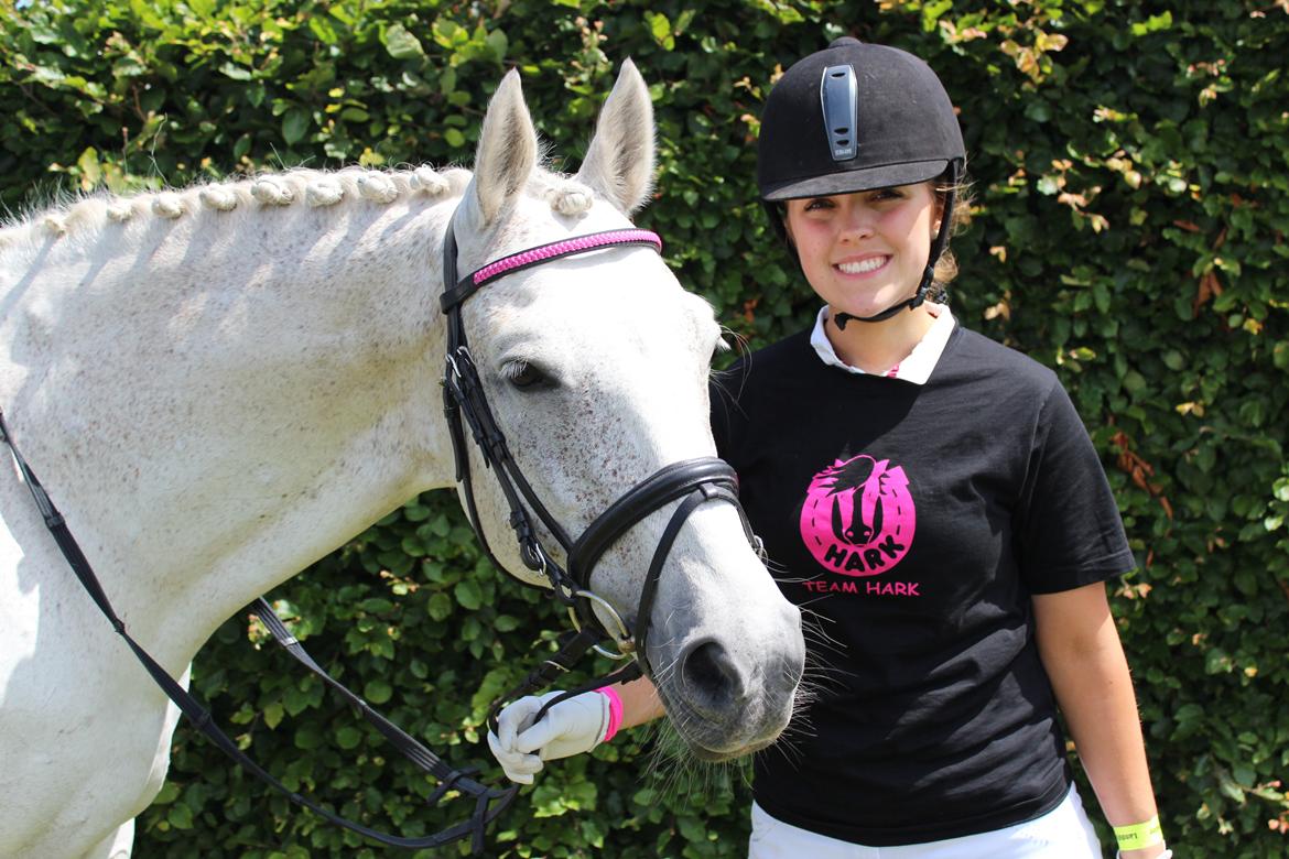 Dansk Varmblod Abdallah *STJERNEN* billede 18