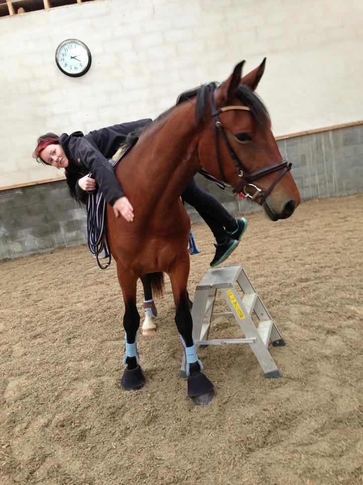 Frederiksborg Nytoftgaards Anastacia - nu er mor vel, oppe så smutter jeg;) billede 10