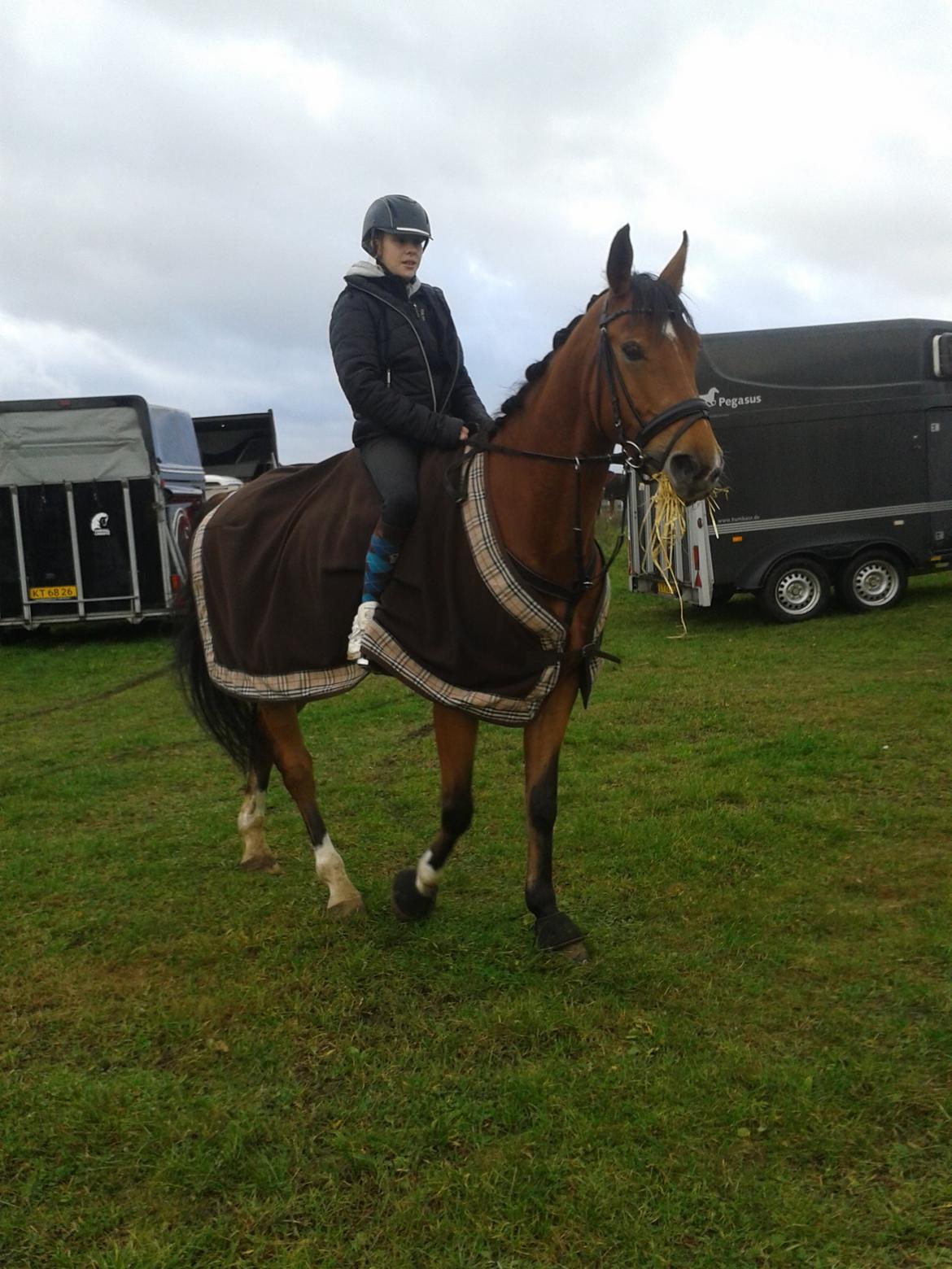 Anden særlig race Santina - stævne i HOSK, med staldslave Ollie på ryggen (2013) billede 23