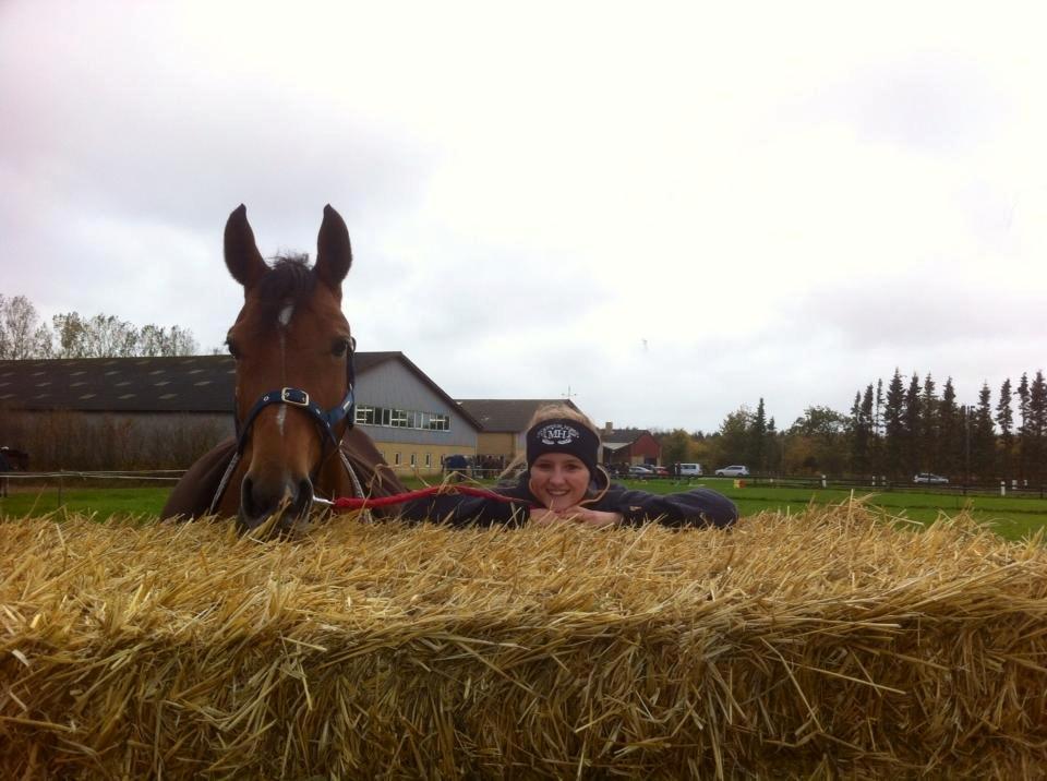 Anden særlig race Santina - stævne HOSK (2013) billede 24
