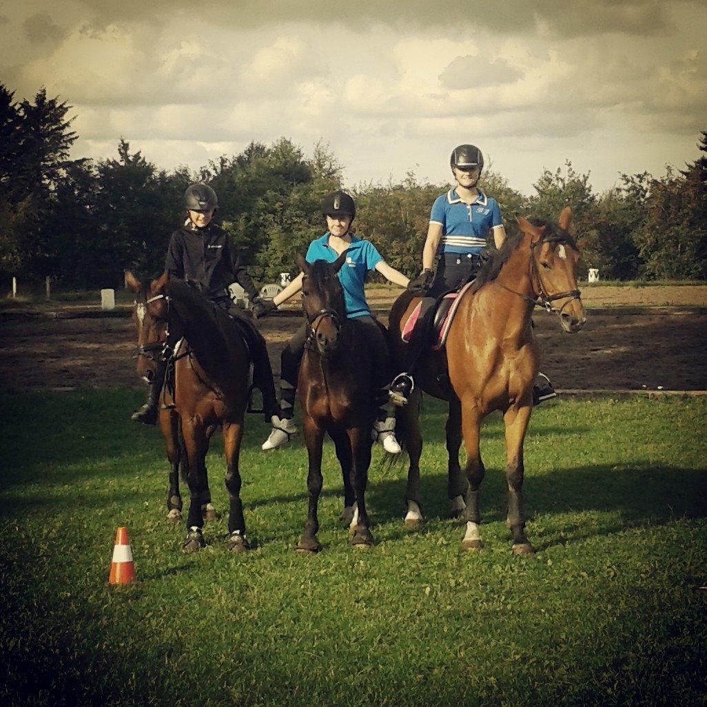 Anden særlig race Santina - Hygge med Lærke og Ollie (2013) billede 26