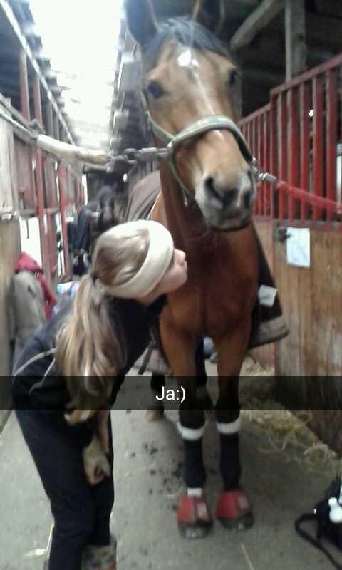 Anden særlig race Santina - Ollie og Santina, stor kærlighed til hinanden <3 (2013) billede 27