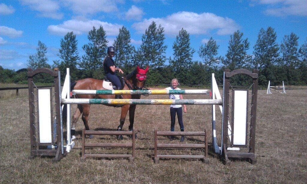 Anden særlig race Santina - sommeren 2013, sprang 130 ;) billede 28