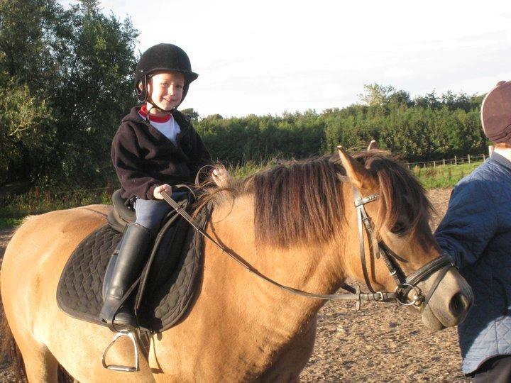 Anden særlig race Scully (Sally) billede 3