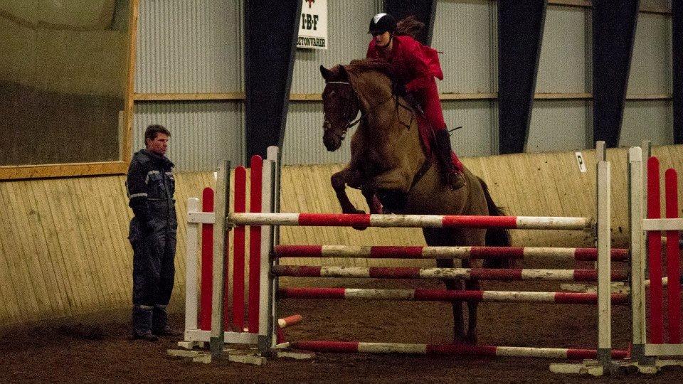 Dansk Varmblod Lucky ~ Lamaen ~ [Lånehest] - Højdespring på ANE, nåede op på 120 cm. 
Verdens bedste Lucky<3. billede 19