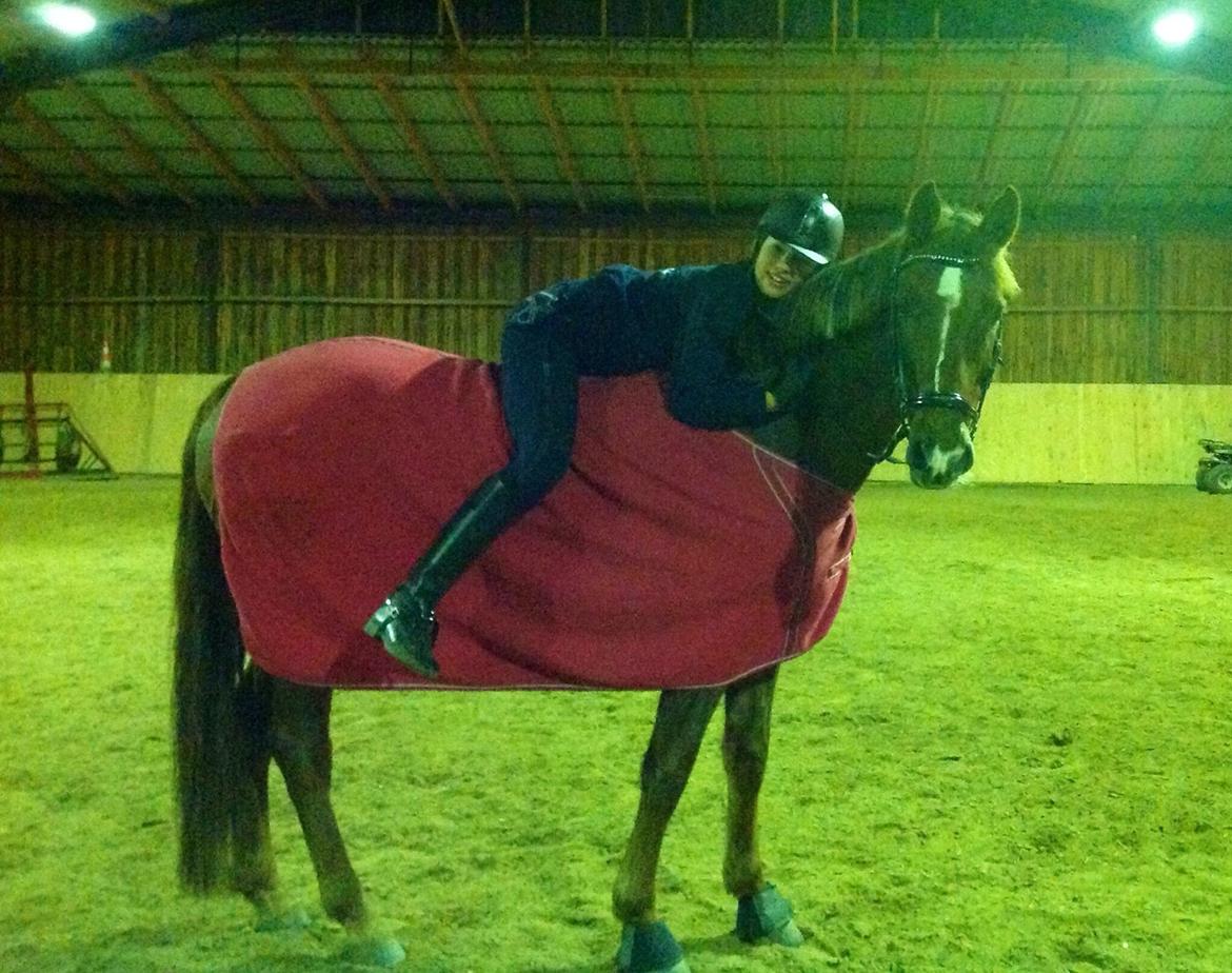 Anden særlig race Ricardo billede 38