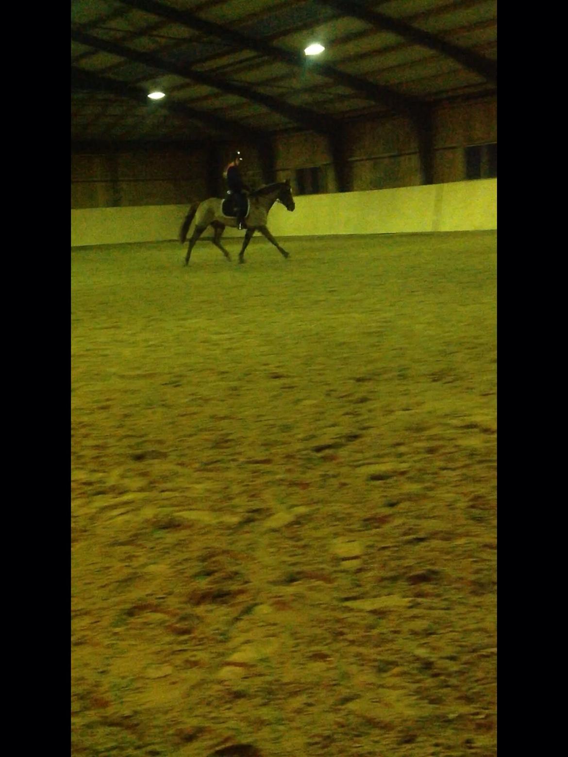 Anden særlig race Ricardo billede 39