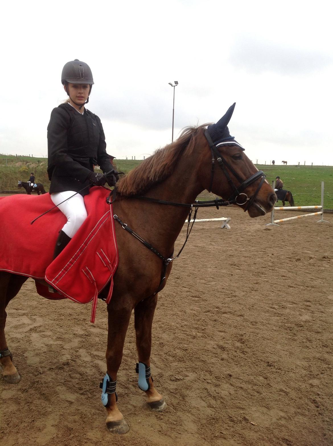 Anden særlig race Ricardo billede 42