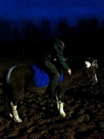 Anden særlig race strøgårdens mickey billede 10