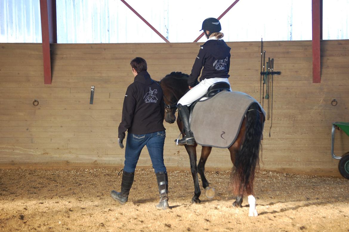 DSP Villagårdens Momo - Stævne i TNKR
Med Dietz jakkerne på:D billede 5