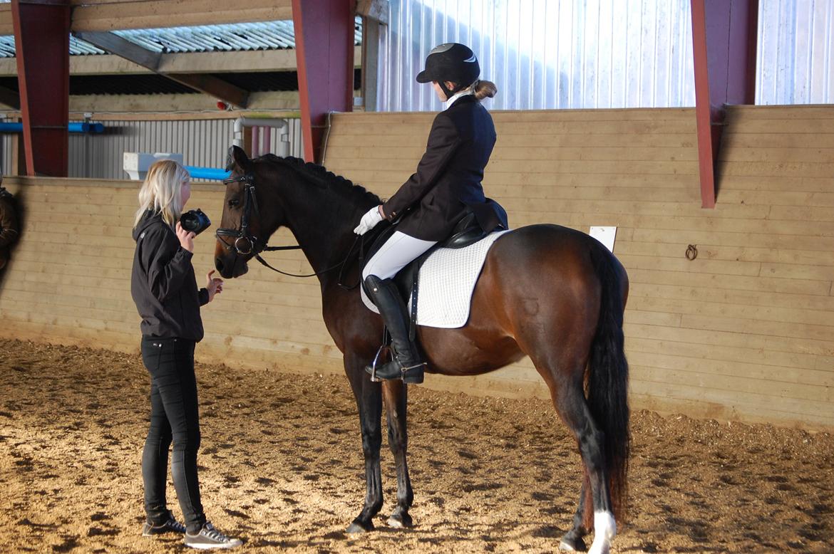 DSP Villagårdens Momo - Hva Stine har du noget i lommen:D billede 9