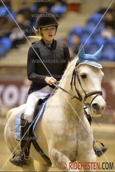 Anden særlig race Ellegårdens Bjarne a.k.a Casmir - DSC 2013 <3 billede 2