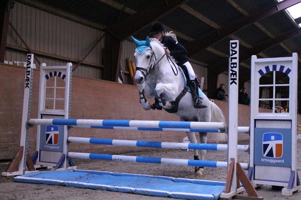 Anden særlig race Ellegårdens Bjarne a.k.a Casmir billede 4