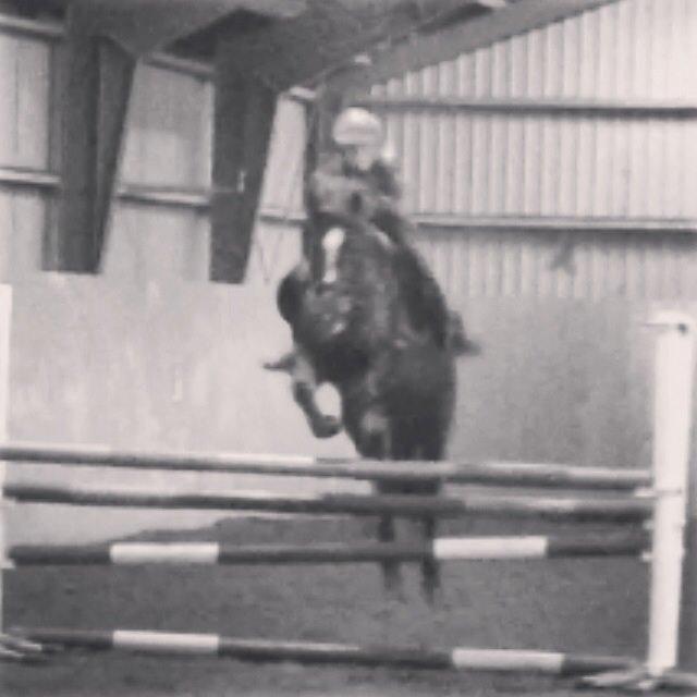 Anden særlig race Siegaard's Achilleus - første gang vi sprang! <3 billede 4