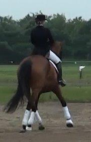 Dansk Varmblod Ponjaei - Opvisning juni 2013 billede 12