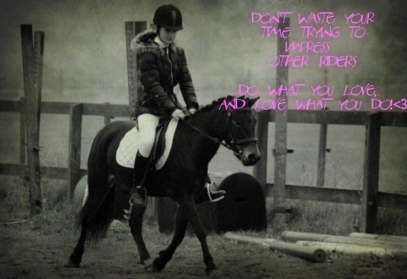 Anden særlig race Hollywood (Holly) billede 21