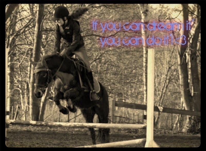 Anden særlig race Hollywood (Holly) billede 22