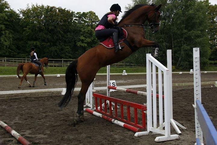 Dansk Varmblod Cherie HS - meget farligt spring ;) billede 23