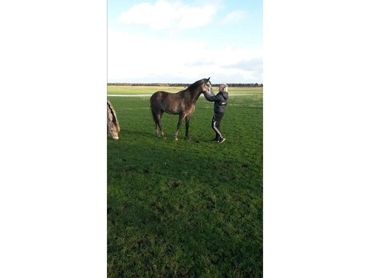 {{currentPhoto.altText}} billede {{currentPhoto.number}}