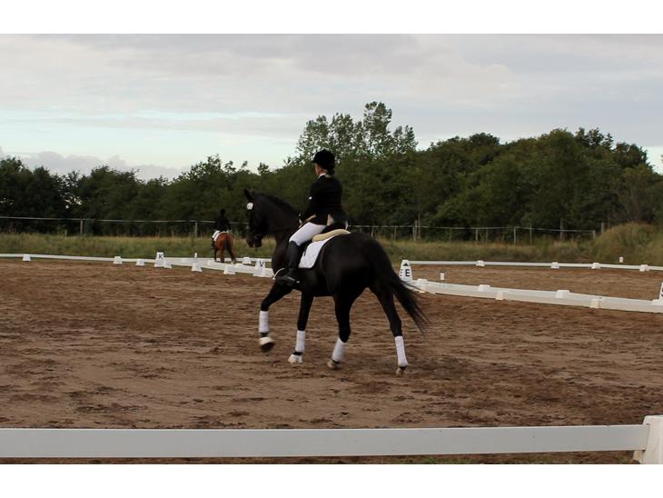 {{currentPhoto.altText}} billede {{currentPhoto.number}}