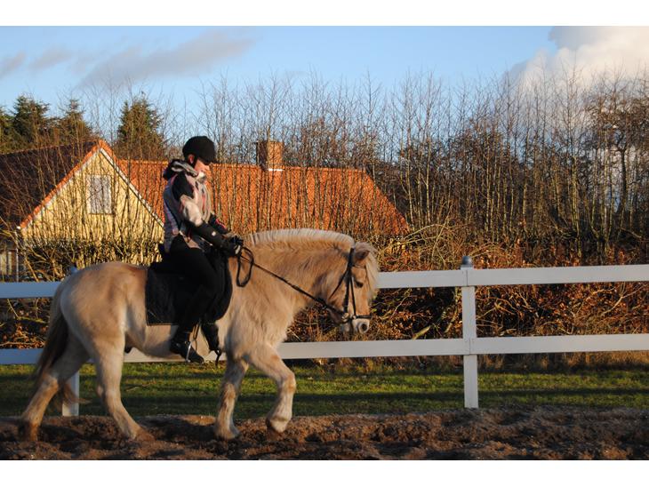 {{currentPhoto.altText}} billede {{currentPhoto.number}}