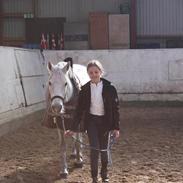Welsh Pony (sec B) Bakkegaardens Oliver