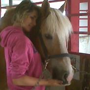 Haflinger alexandra