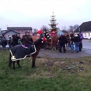 Anden særlig race Søndervangs Michign