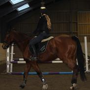 Holstener Lucie in the sky [min part]