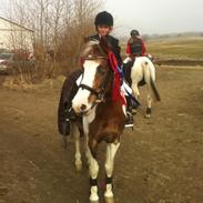 Anden særlig race Dyrekærgårds Indian Bahari