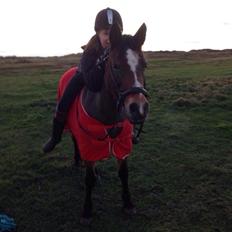 Anden særlig race Bonnie <3